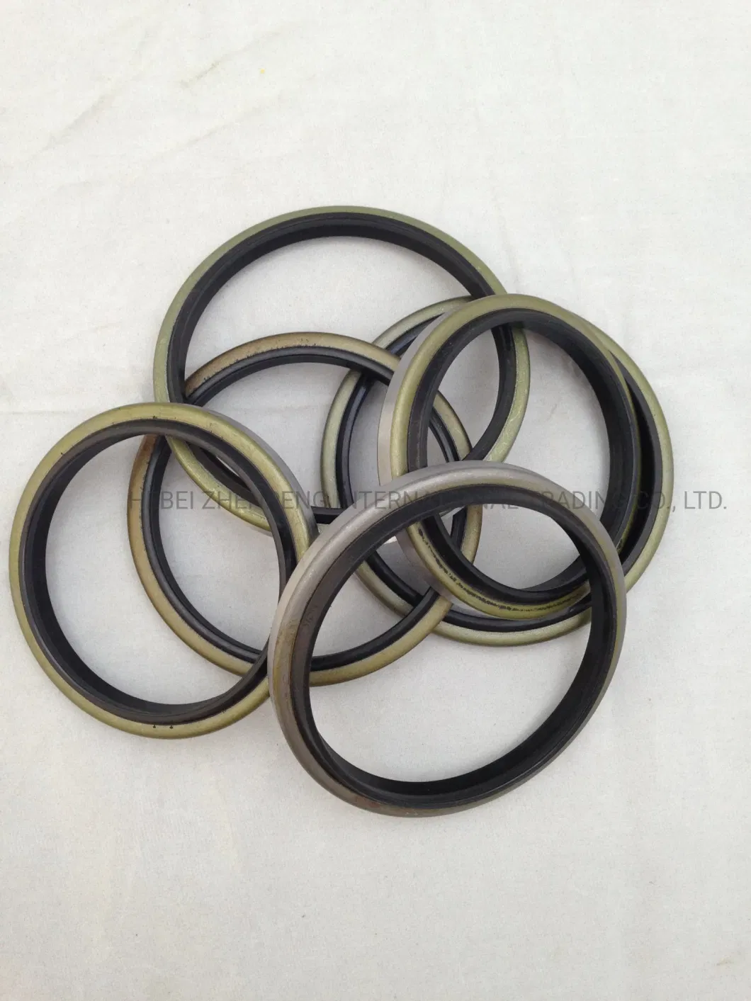 Hydraulic Wipers Seal Dkb Rubber & Metal Material Dust Seal