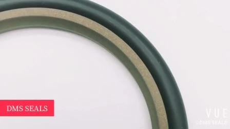 Hbts Gsj Bsj 40 % Bronze PTFE-Hydraulikzylinder, hin- und hergehende Bewegungsstange, Pufferwelle, Öl, Kunststoff, Gummi, mechanische Stufendichtung